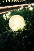 A softly glowing crystal orb resting on a bed of moss, surrounded by delicate wildflowers.