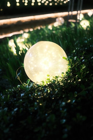 A softly glowing crystal orb resting on a bed of moss, surrounded by delicate wildflowers.