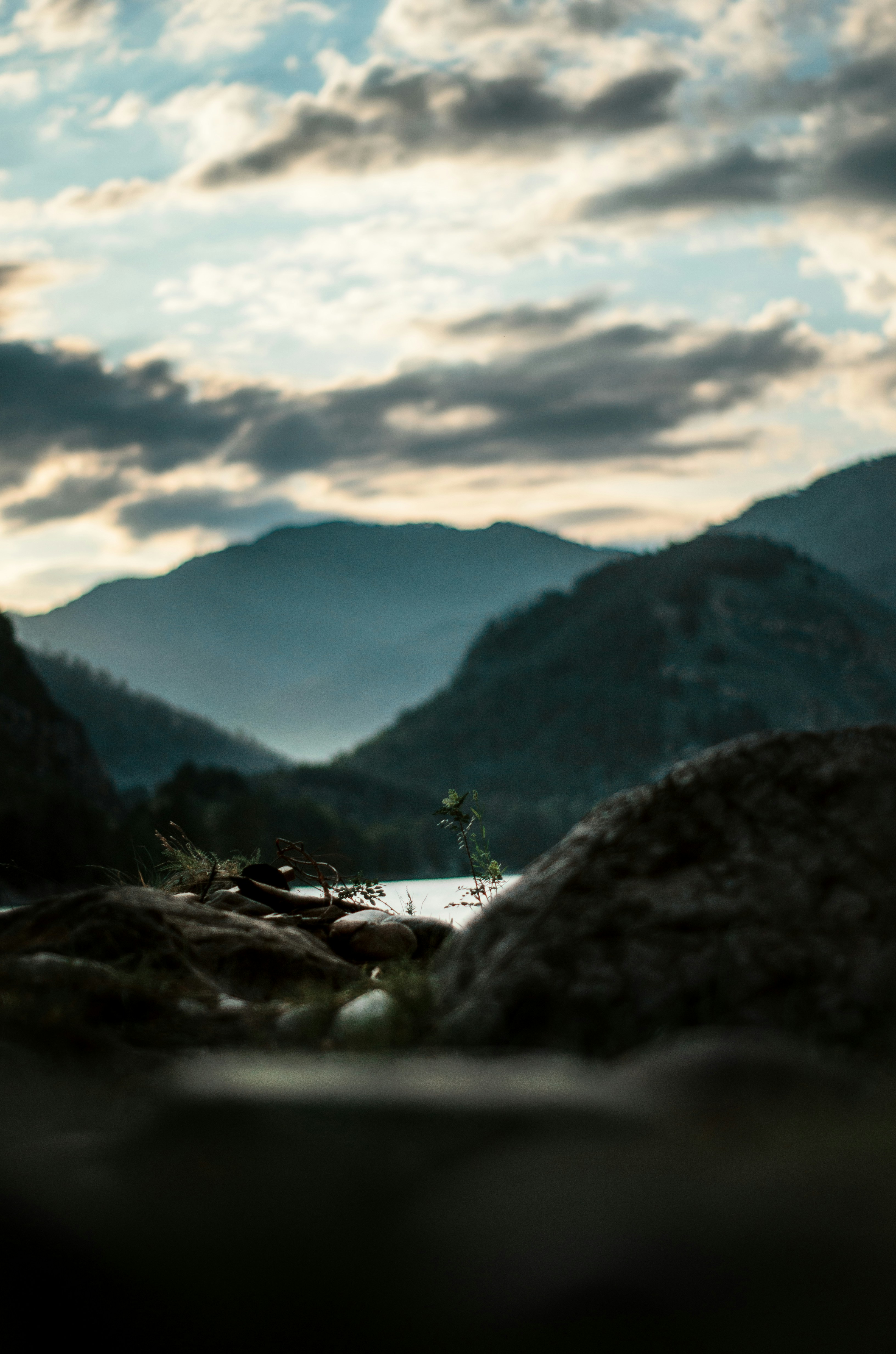 Photo by litvinov