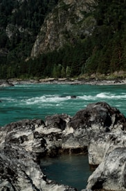 A clear turquoise river flows swiftly through a rocky landscape, bordered by dense green forests and steep mountain cliffs. The rocks in the foreground are wet and smooth, indicating the presence of water pools. Tall trees cover the mountainsides, creating a lush and vibrant natural setting.