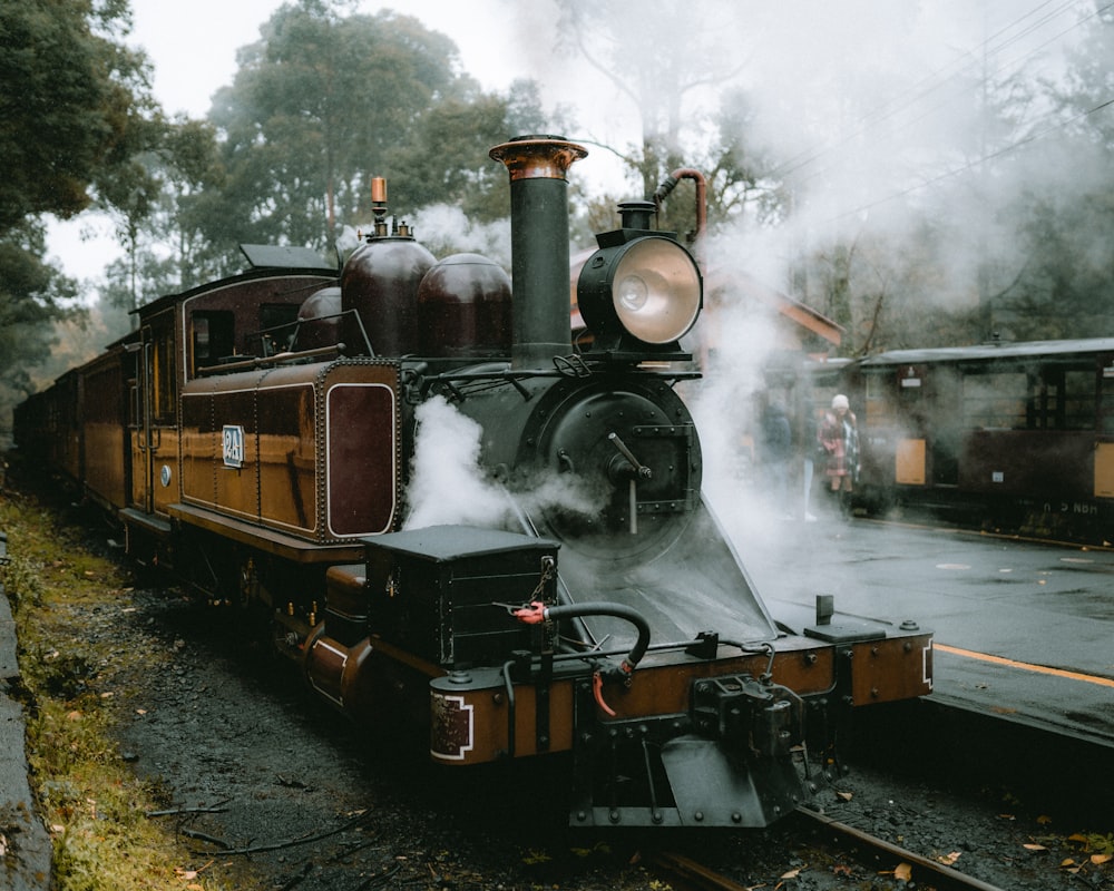 a steam train traveling down train tracks next to a forest