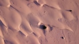 An aerial photo of a desert landscape with visible sand dunes and sparse vegetation.