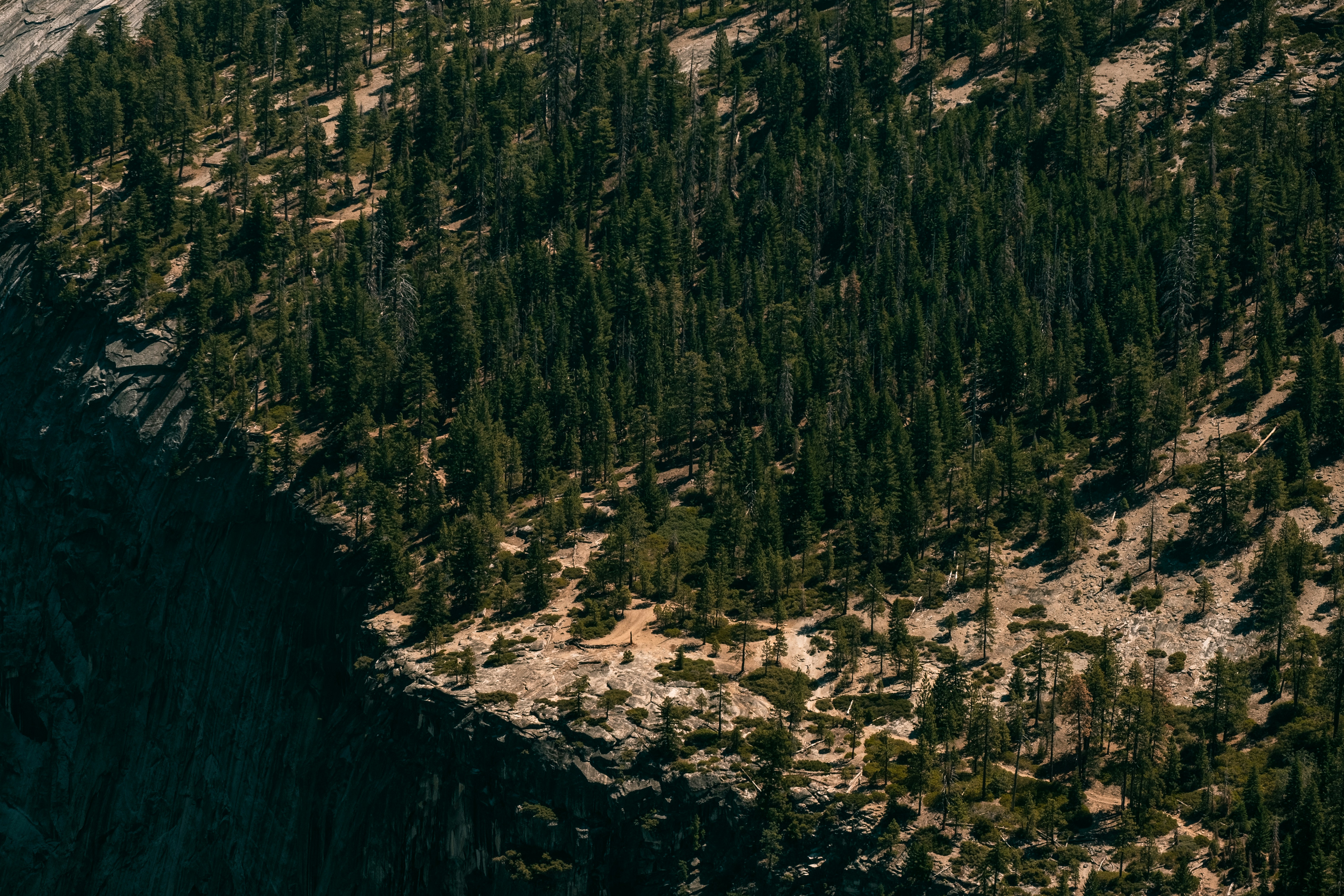 Photo by mo_design_3d