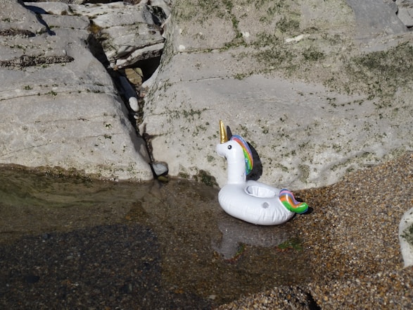 A colorful inflatable unicorn is resting in a small puddle of water surrounded by rocky terrain. The unicorn has a golden horn, a colorful mane and tail, and its reflection is visible in the shallow water.