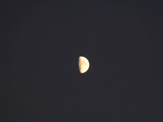A bright half-moon is visible against a dark night sky.
