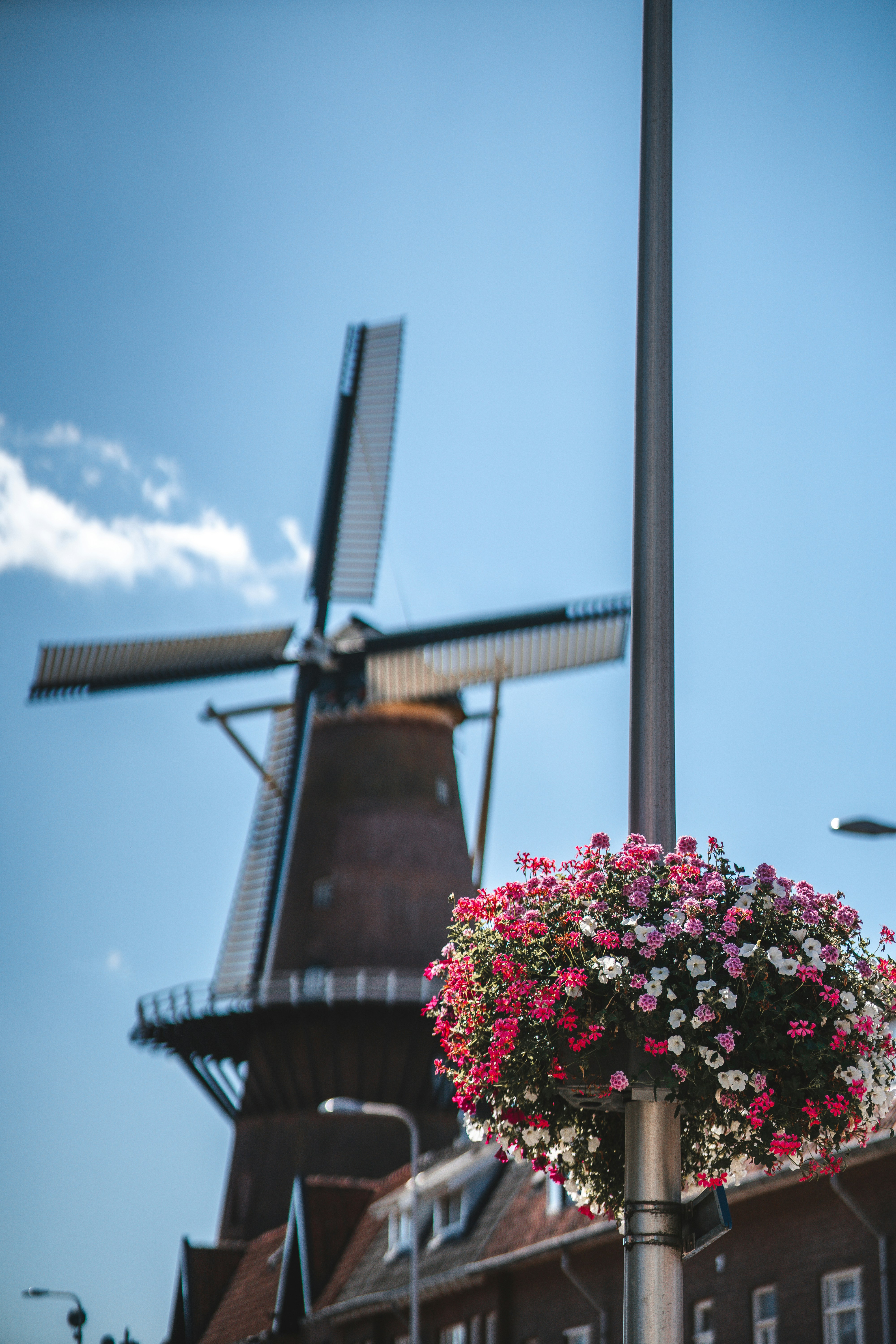 a street light with flowers in front of a windmill