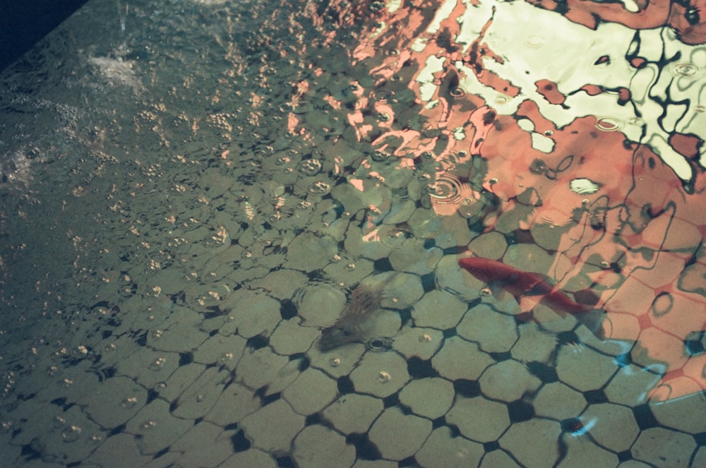 a reflection of a building in a puddle of water