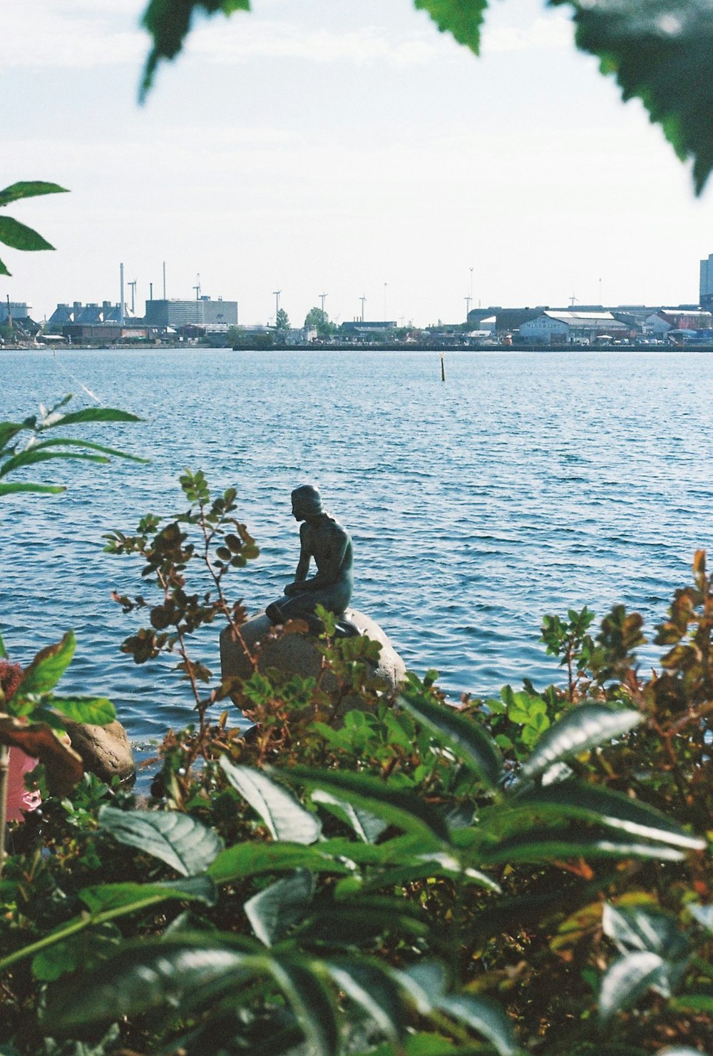 a man sitting on a rock near a body of water