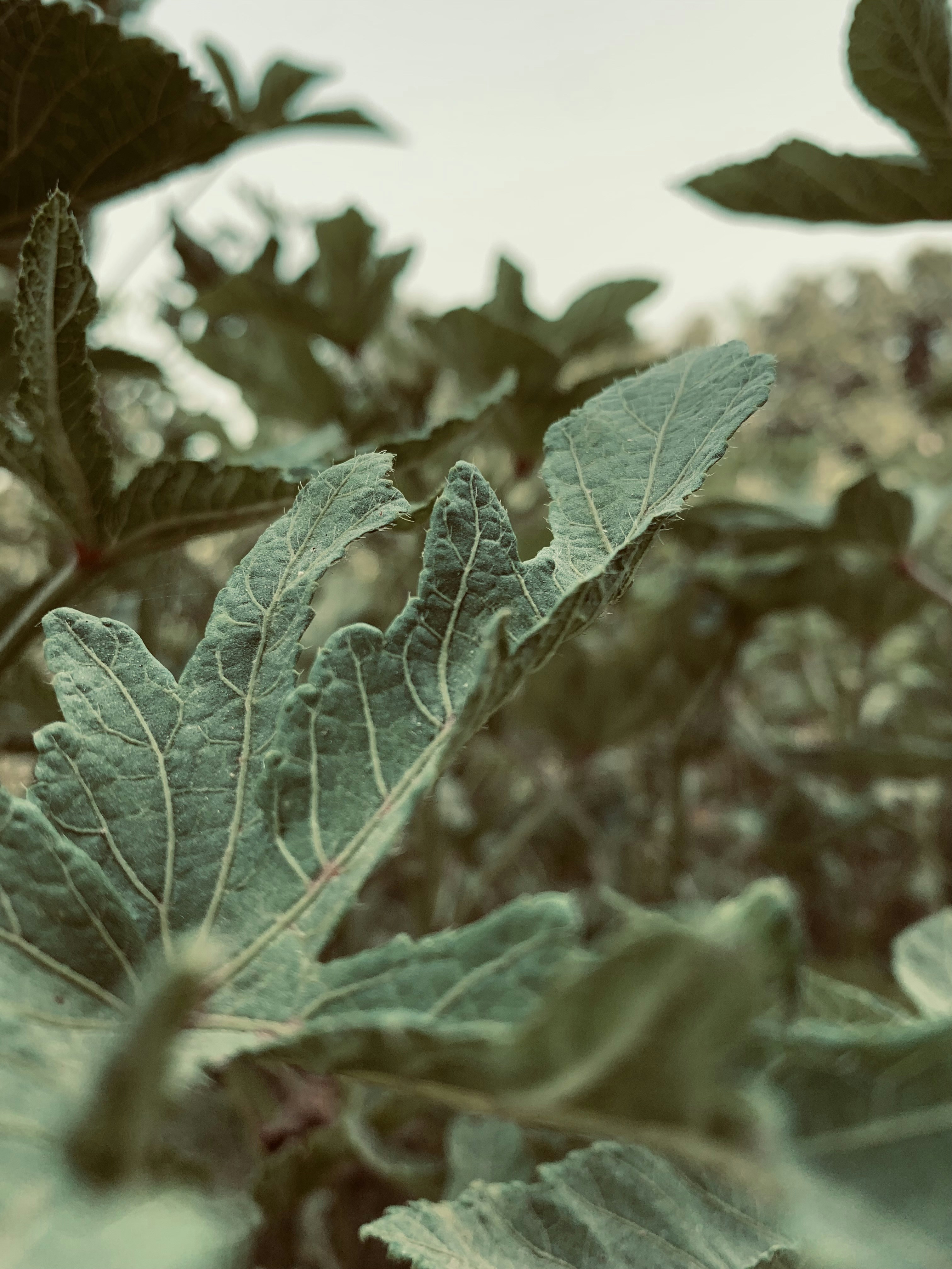 Photo by abdullahsajjad026