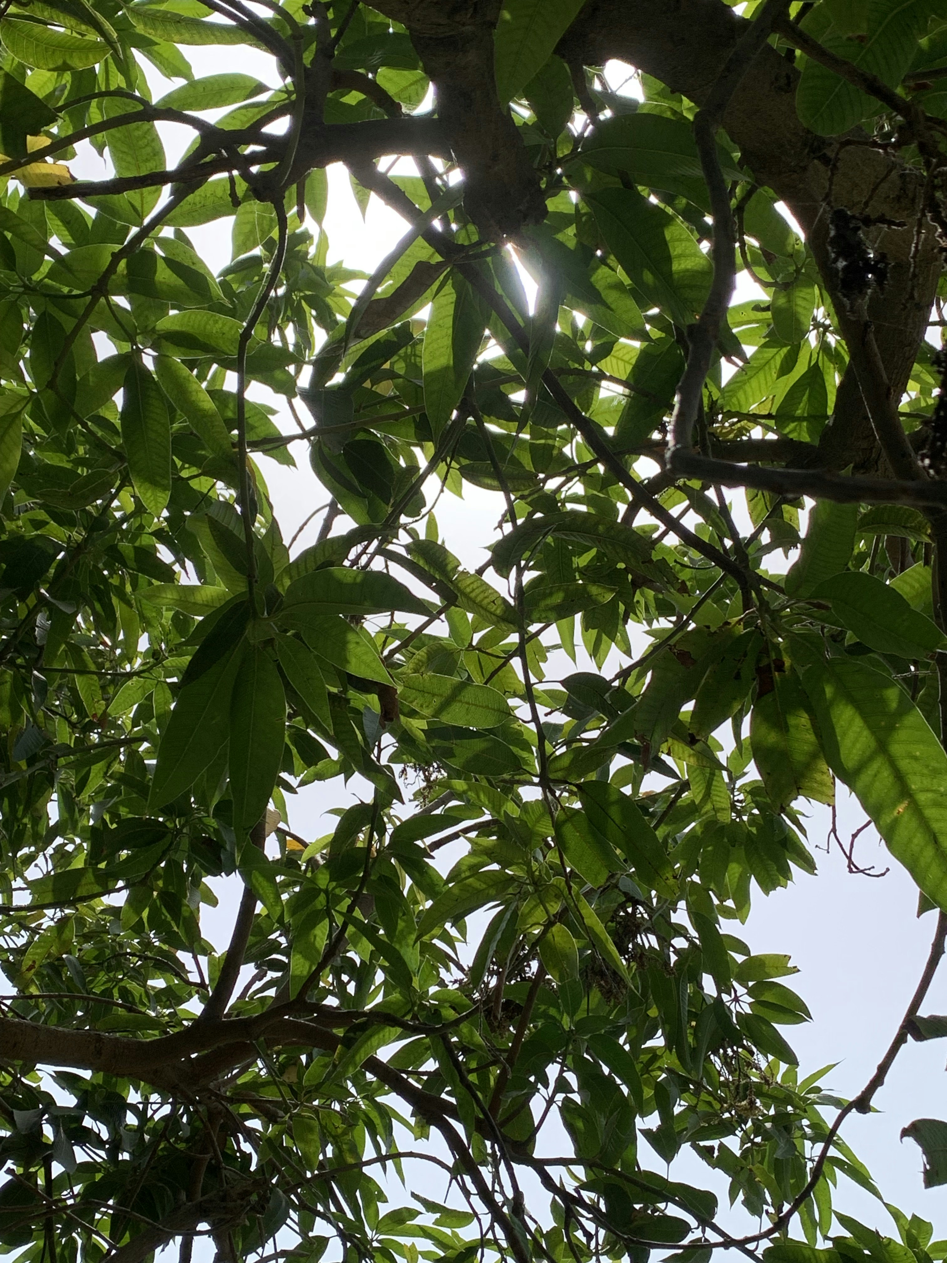 Photo by abdullahsajjad026