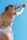 A person wearing a black and white striped bikini is captured from a low angle against a clear blue sky. The posture suggests movement, with arms raised and hair flowing slightly in the wind. Sunglasses add a stylish touch to the scene.
