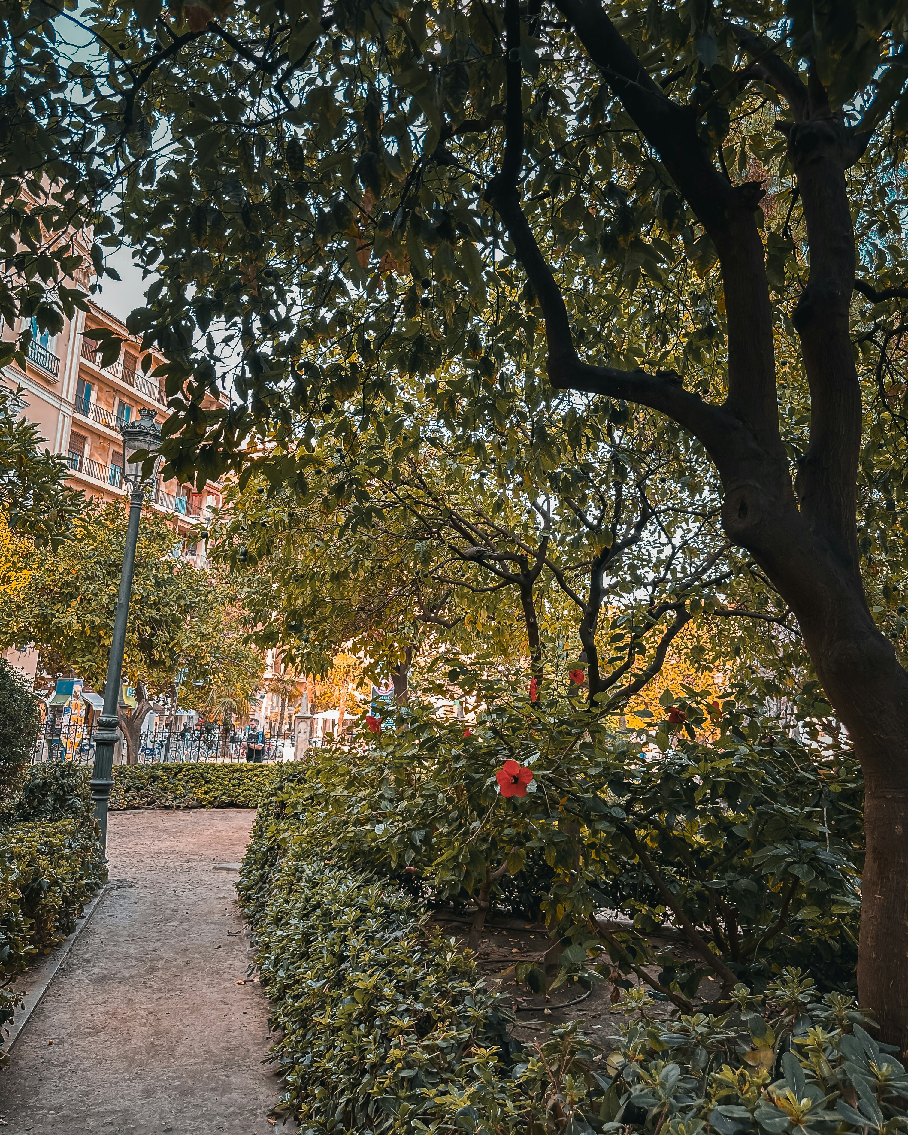 Photo by mancunianrookie