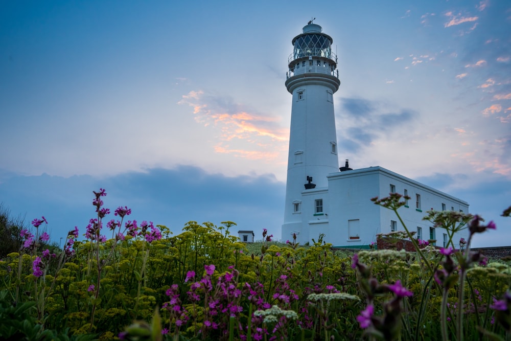 a white light house surrounded by purple flowers