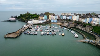 a group of boats are docked in a harbor
