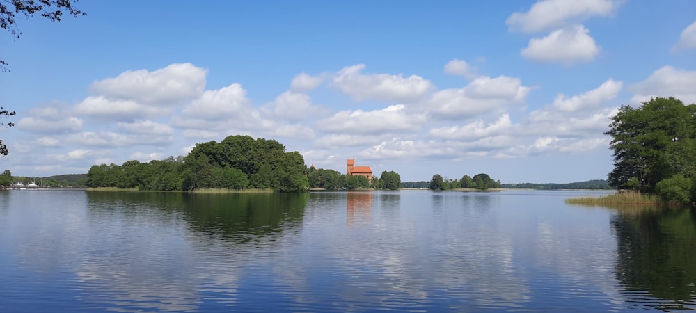 a large body of water surrounded by trees