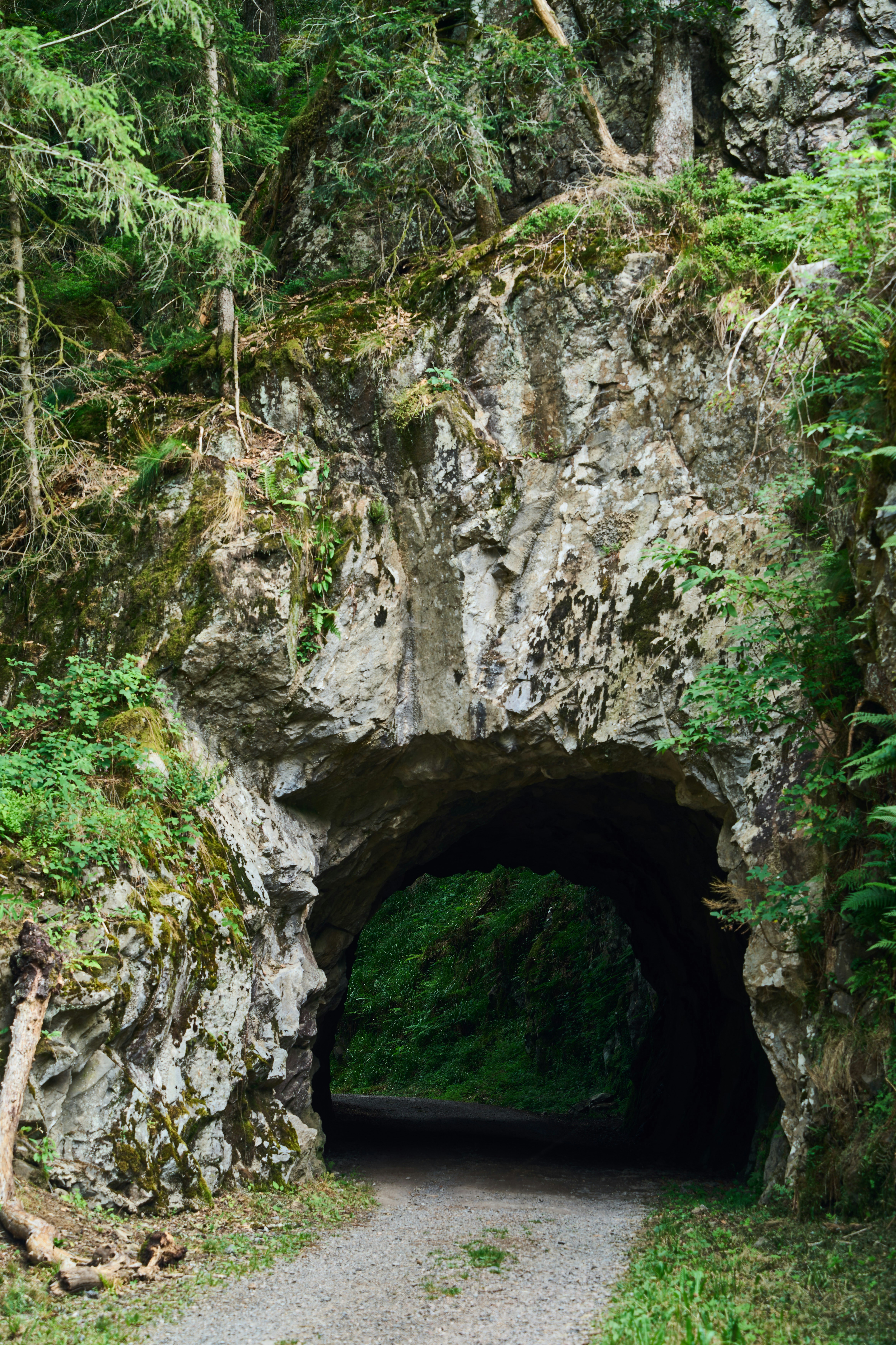 Photo by wolfgang_hasselmann