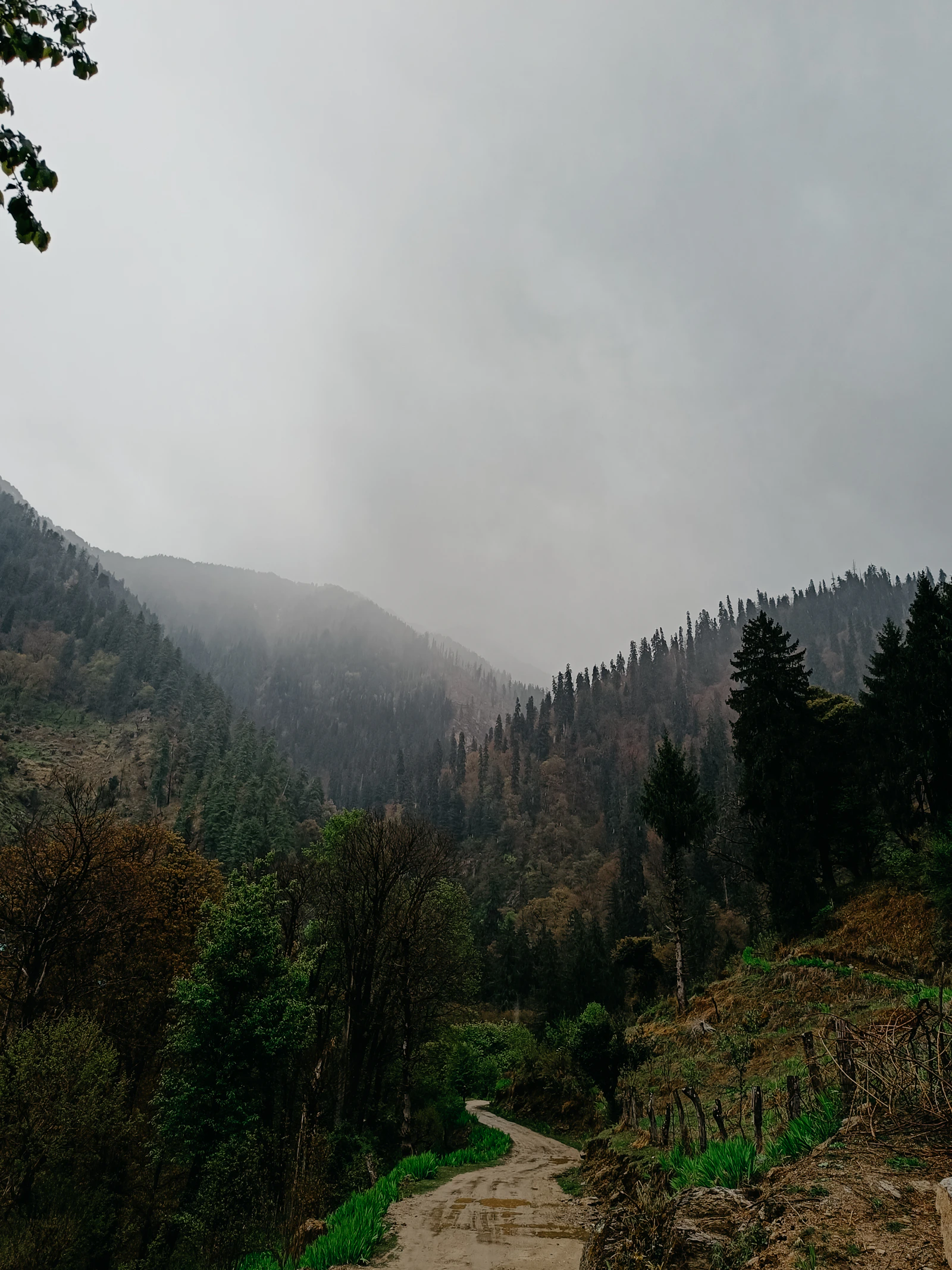 Chanderkhani Pass Classic Crossover Trek preview 3