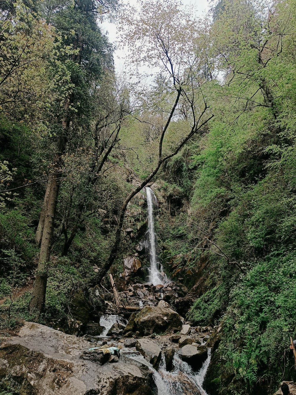 a small waterfall in the middle of a forest