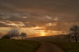 Calm landscape illustrating 'Nael - viaje al corazón del ser' with a path leading to a glowing horizon.