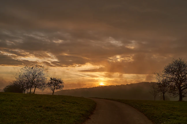 Calm landscape illustrating 'Nael - viaje al corazón del ser' with a path leading to a glowing horizon.