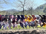 A variety of colorful scarves are hanging on a line outdoors, with intricate floral patterns and fringes. In the background, there is a lush, green landscape with trees and hills under a clear blue sky.