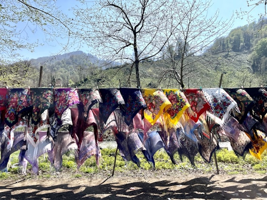 A variety of colorful scarves are hanging on a line outdoors, with intricate floral patterns and fringes. In the background, there is a lush, green landscape with trees and hills under a clear blue sky.