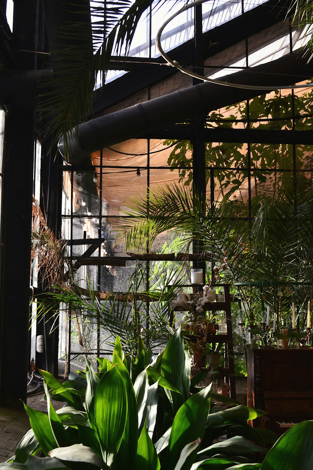 a room filled with lots of green plants