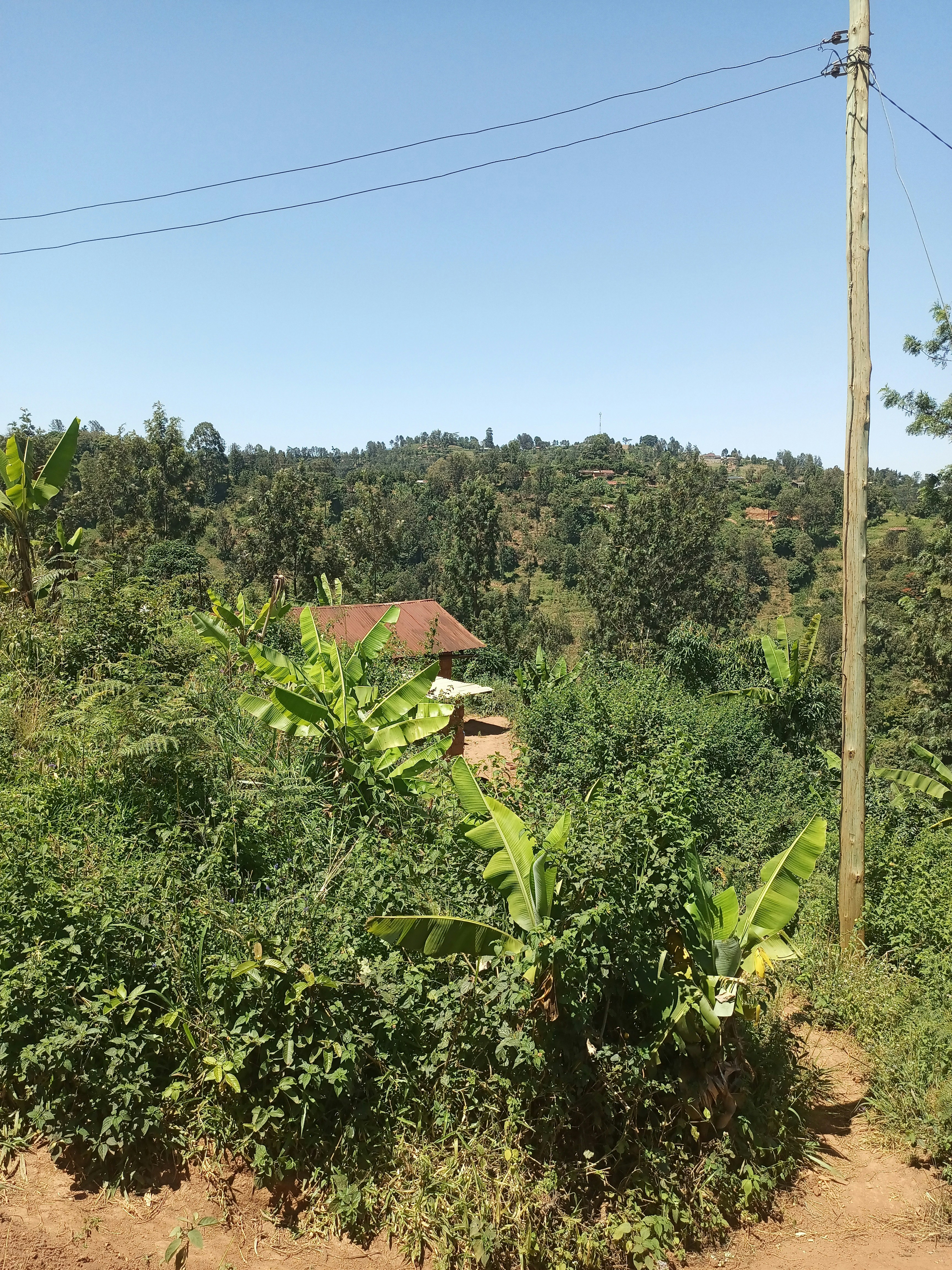 telegram groups in uganda