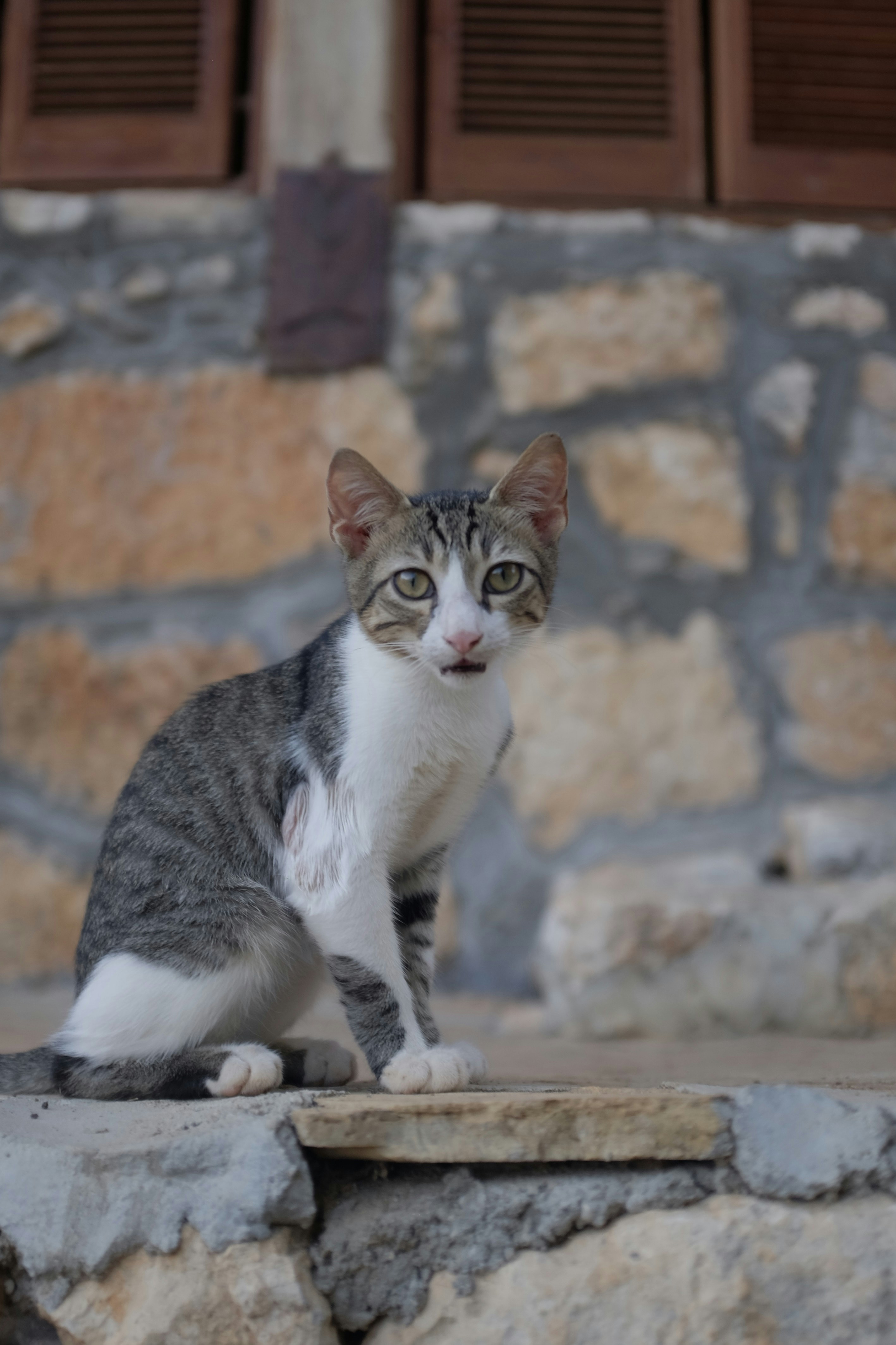 Photo by ignatkushanrev