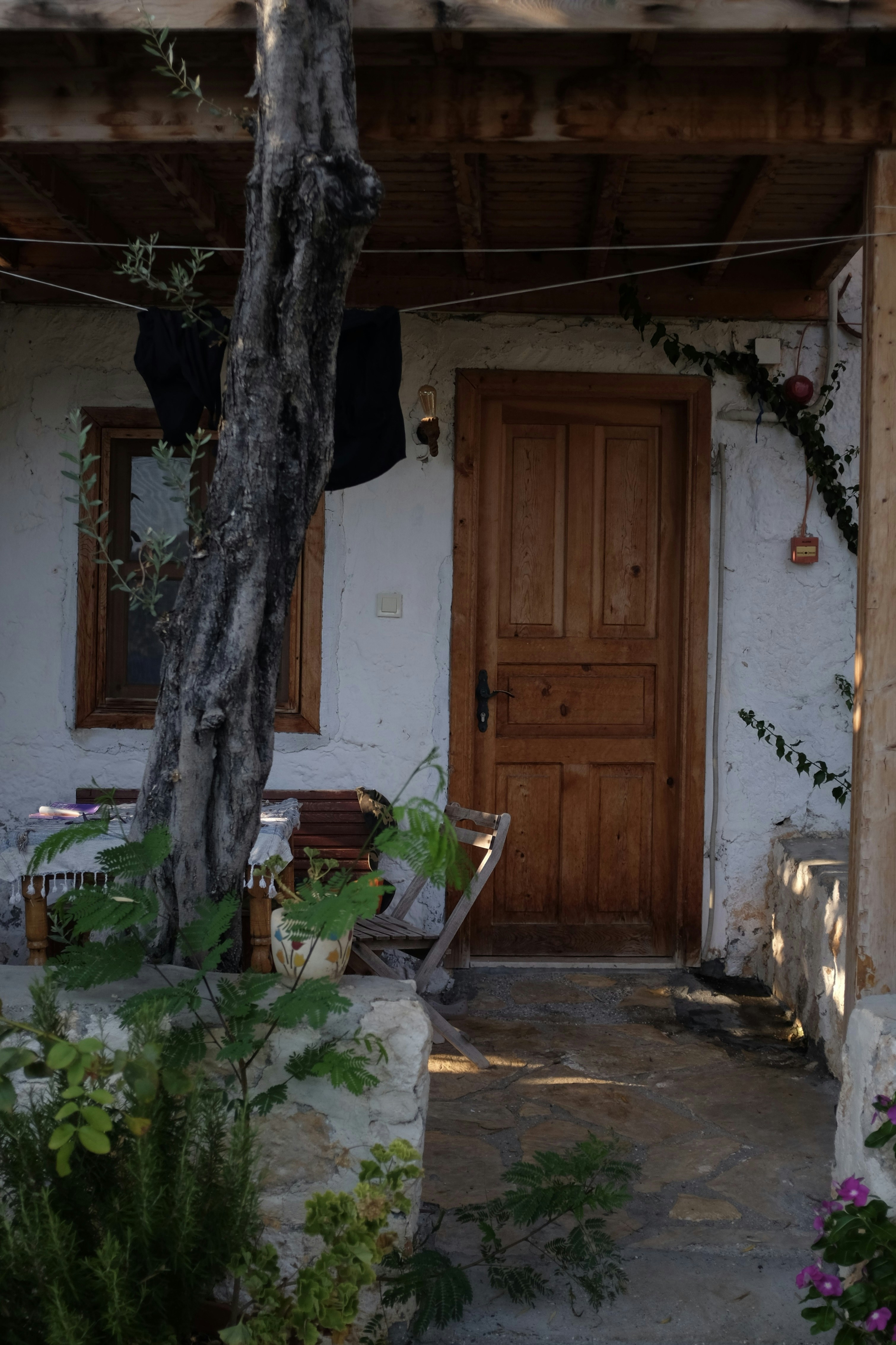 Photo by ignatkushanrev