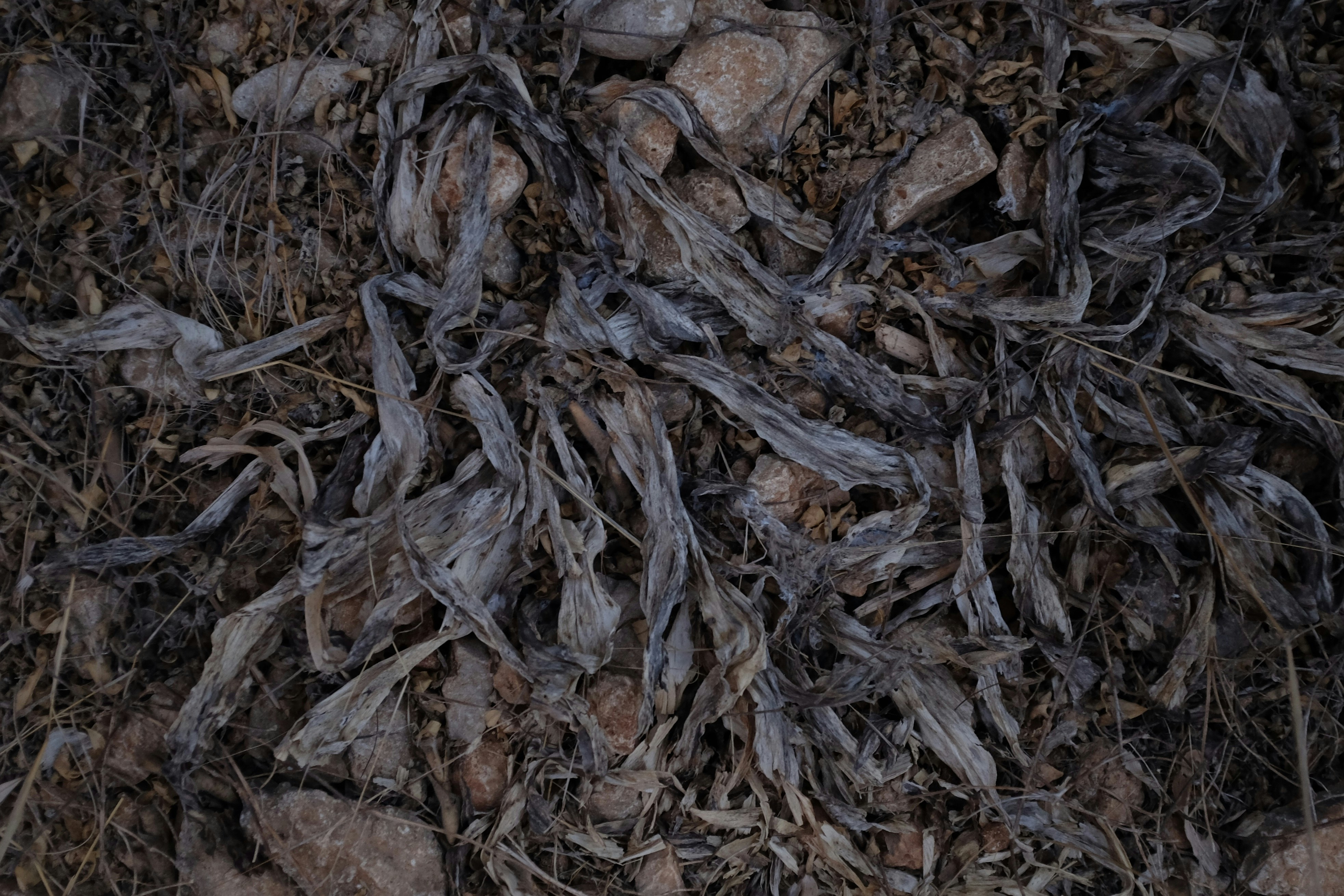 Photo by ignatkushanrev