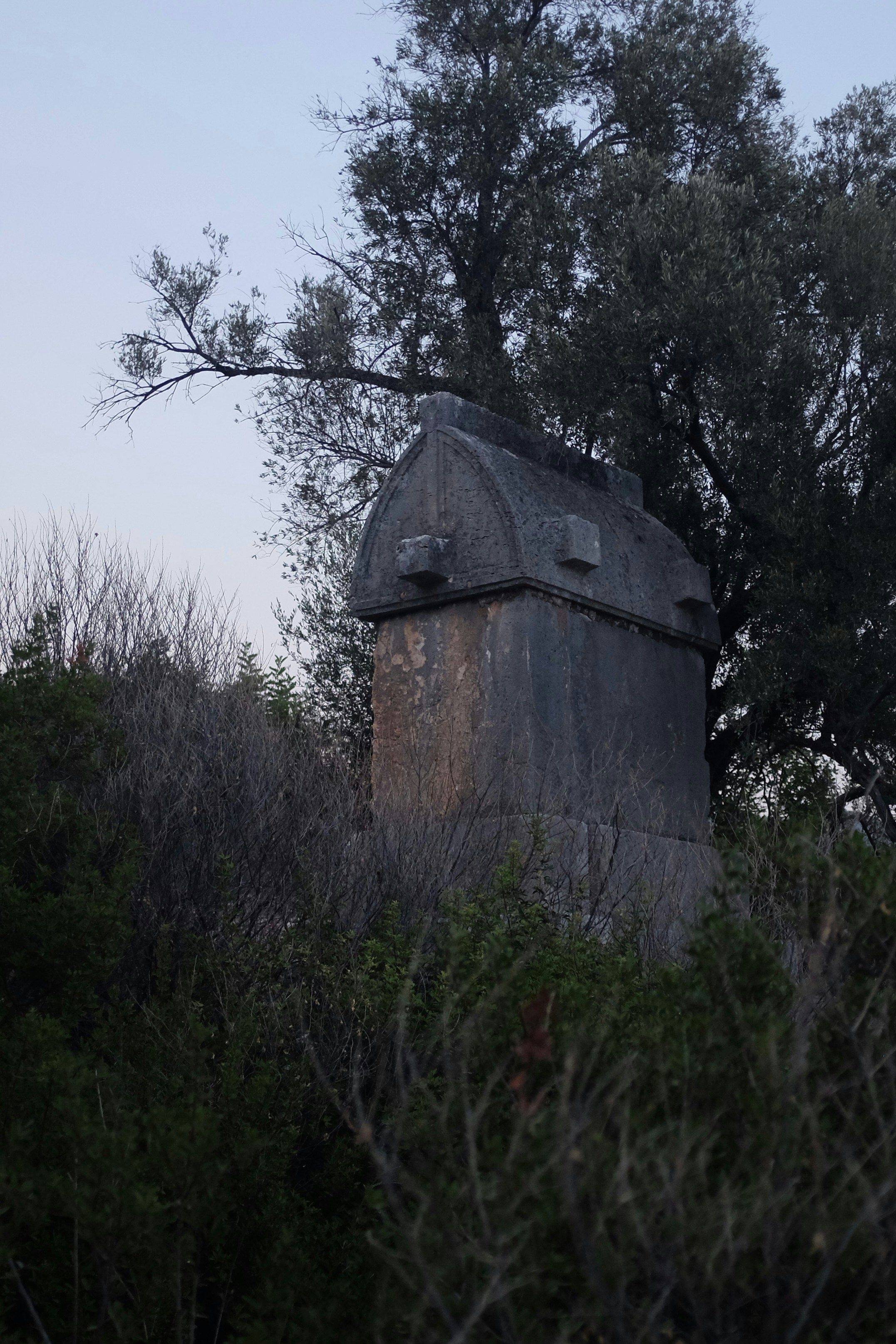 Photo by ignatkushanrev