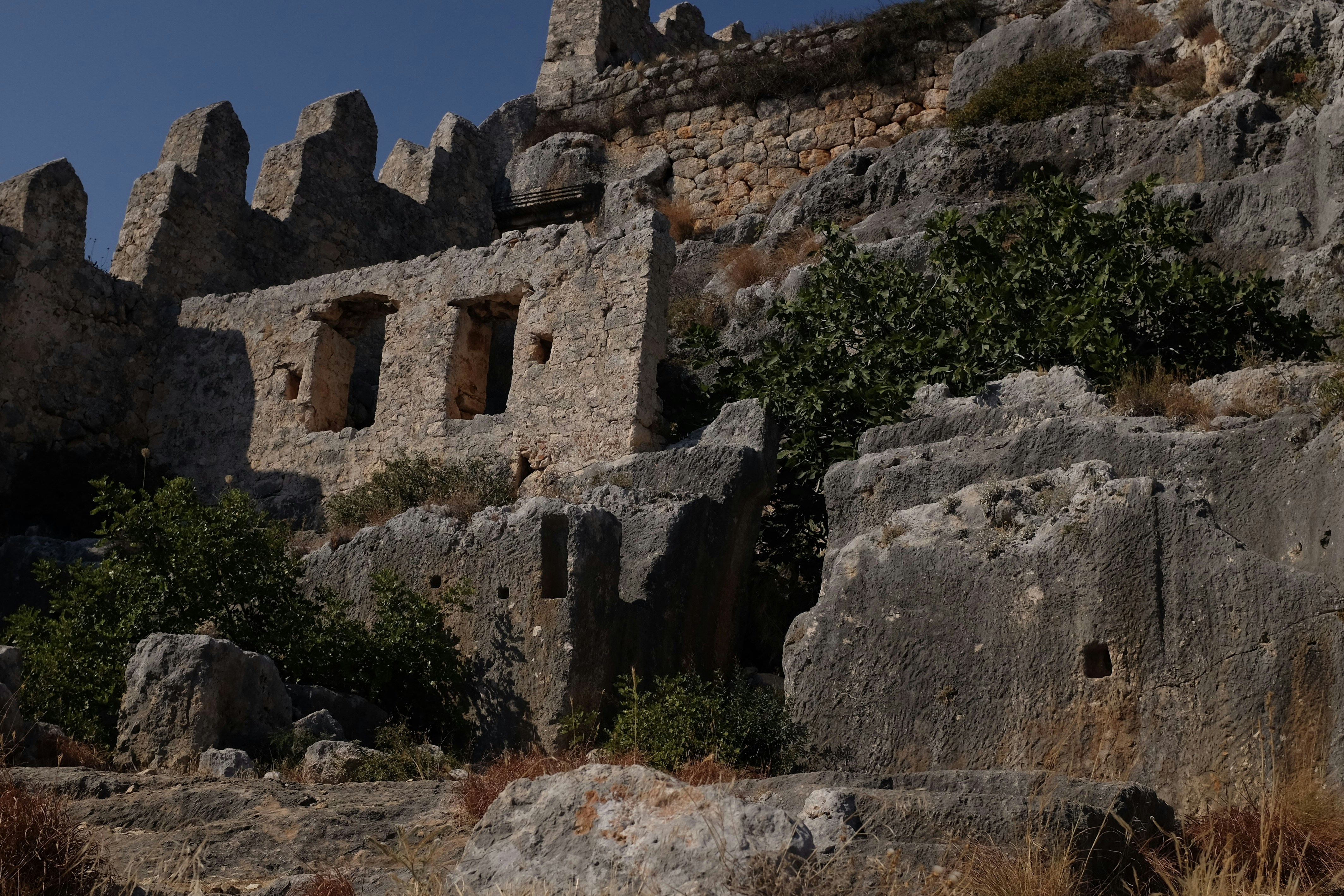 Photo by ignatkushanrev