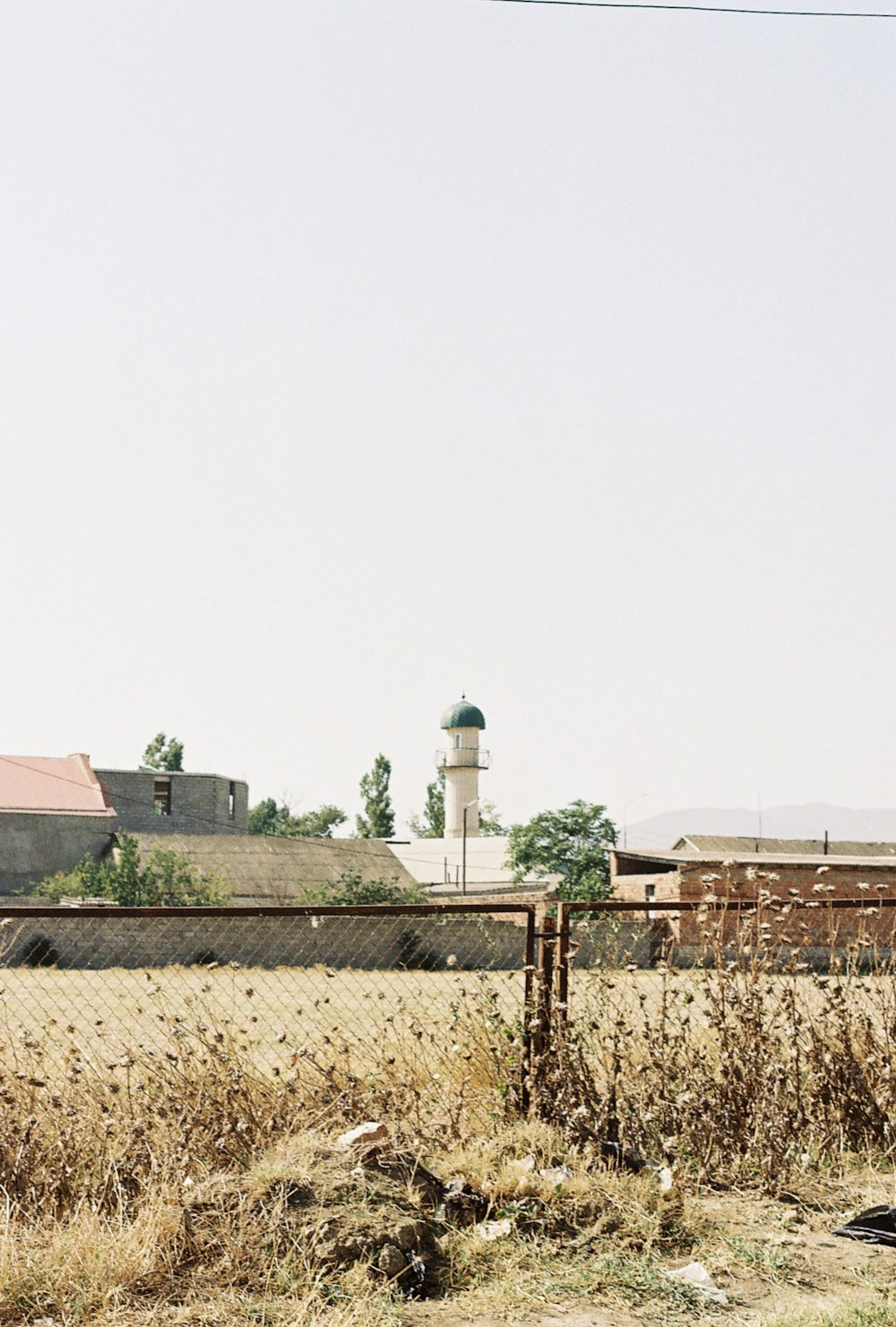 a person riding a horse in a field