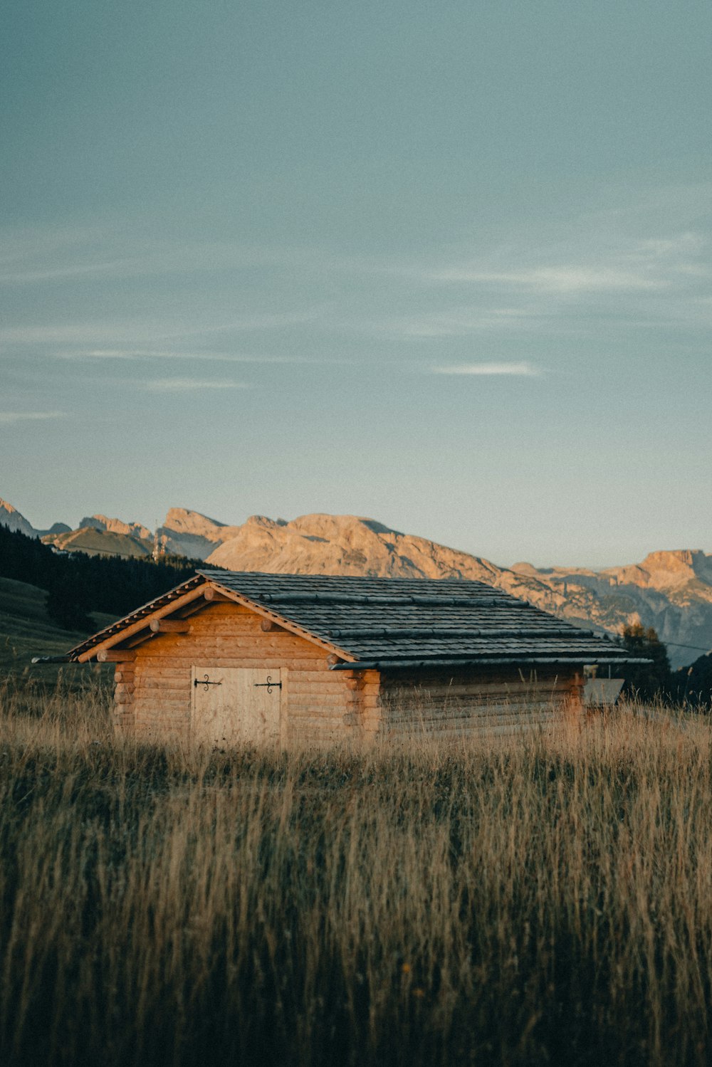 a wooden cabin in a field with mountains in the background