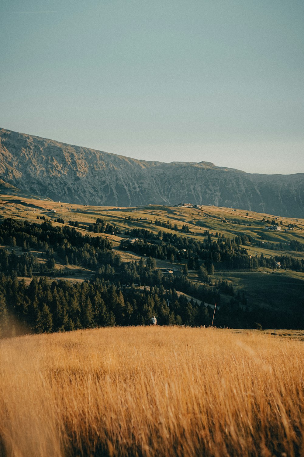 a grassy field with mountains in the background