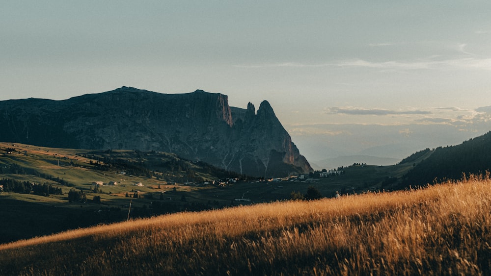 a grassy field with a mountain in the background