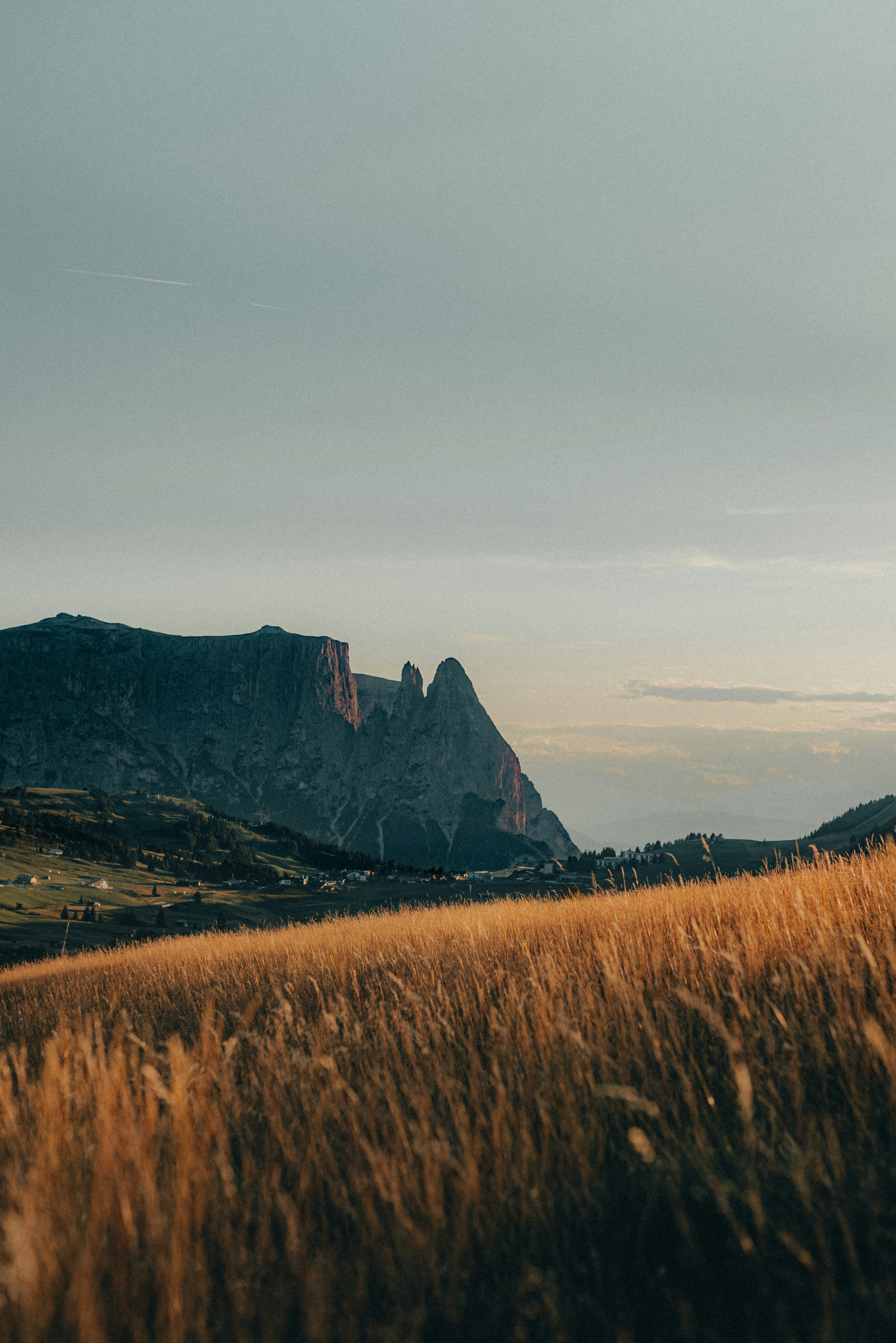 a grassy field with a mountain in the background