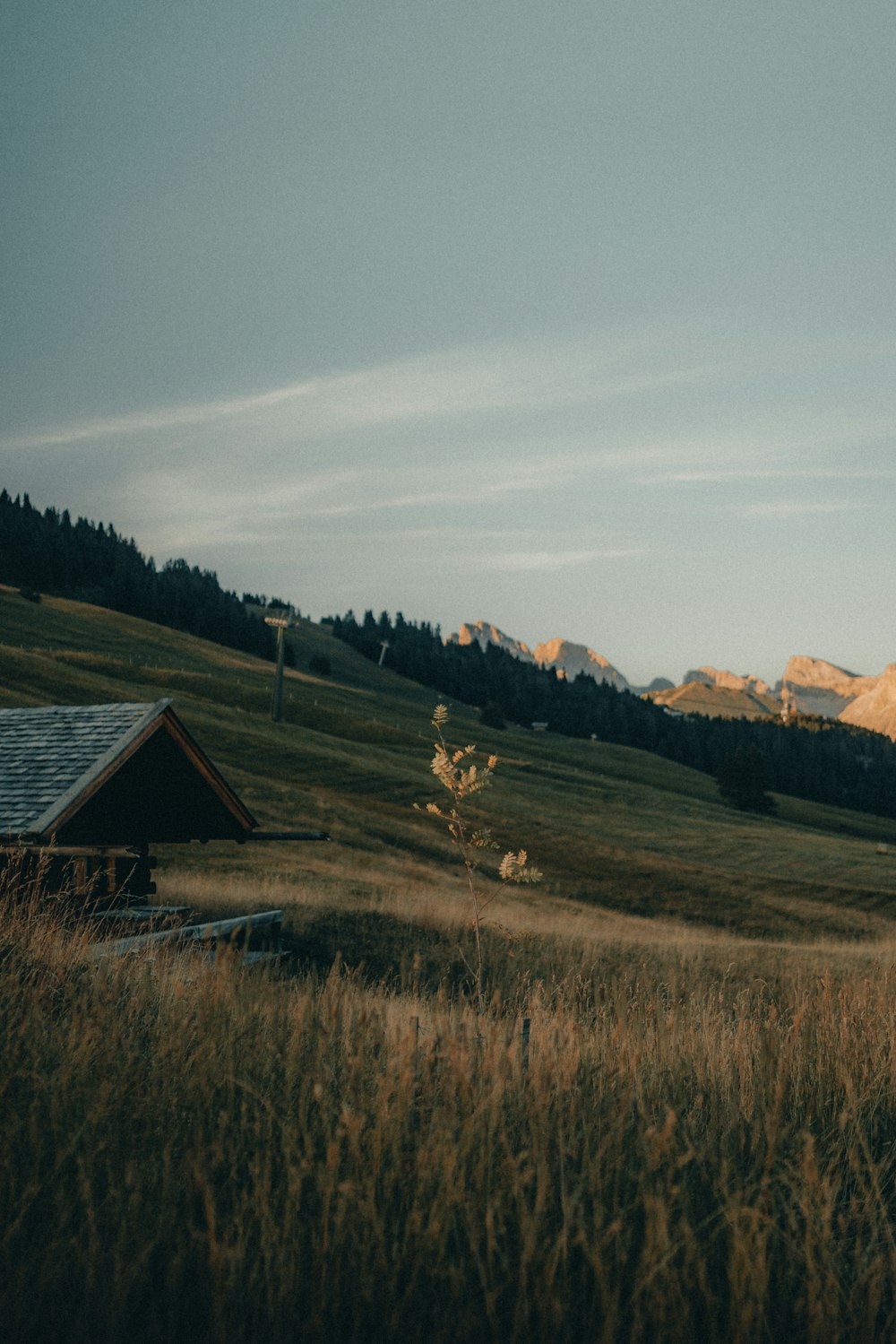 a grassy field with mountains in the background