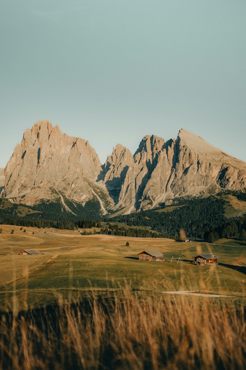 a grassy field with mountains in the background