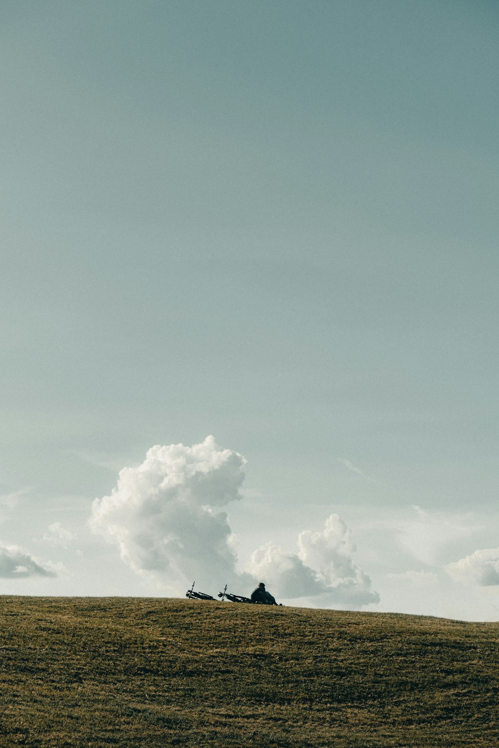 a lone tree on a grassy hill under a cloudy sky