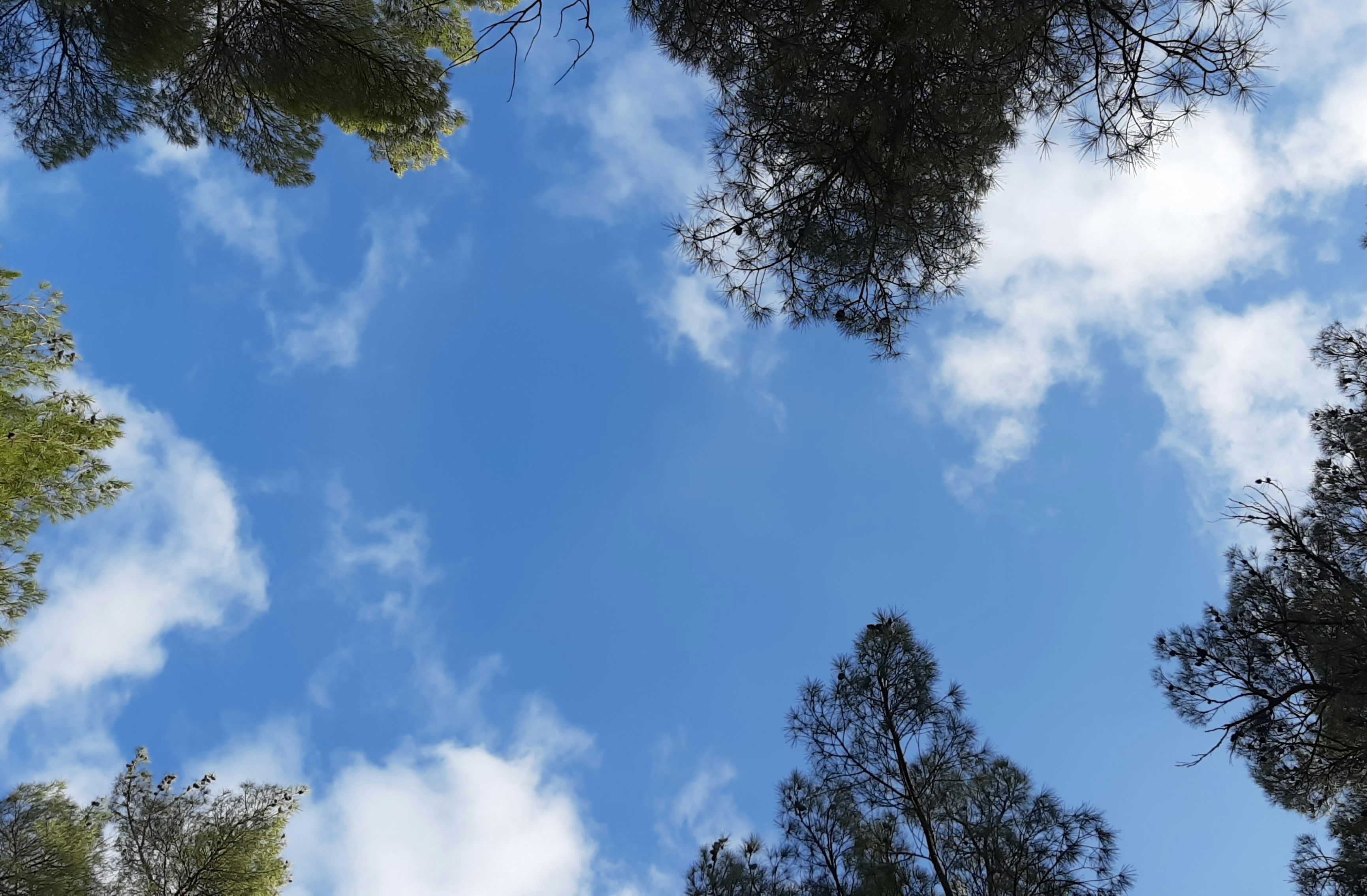 Photo by melihalialp