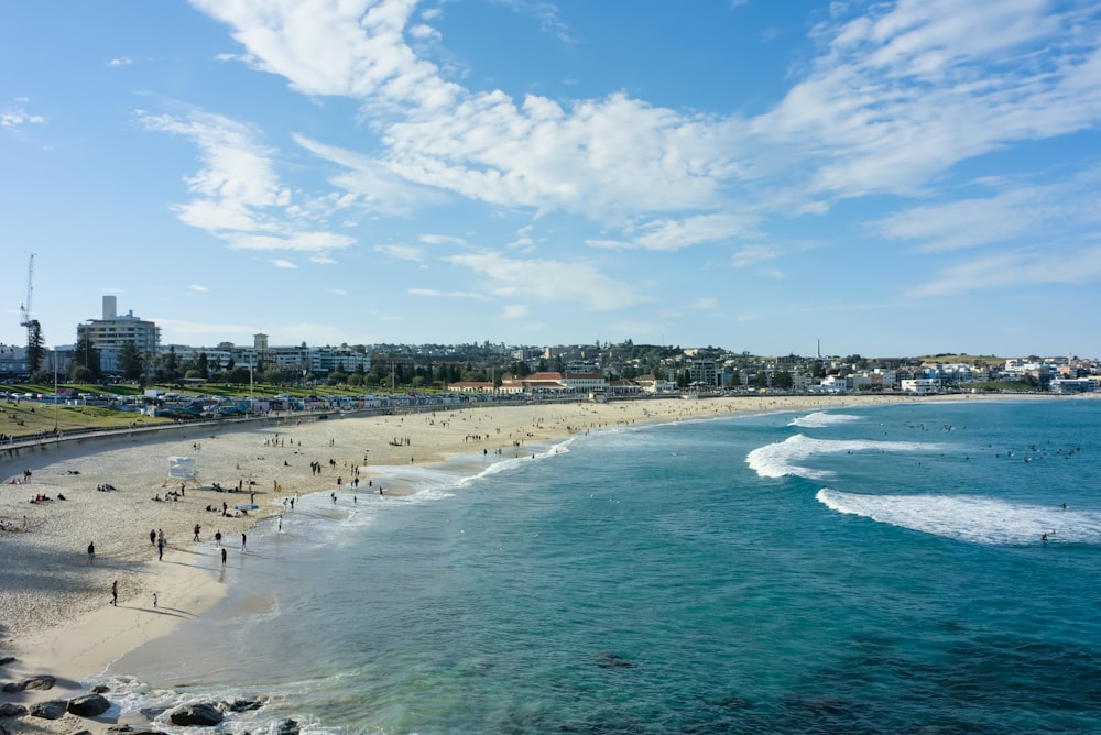 a group of people standing on top of a beach next to the ocean