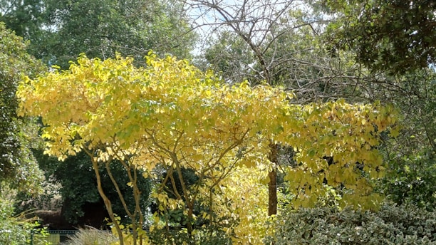 A vibrant snapshot of a local community garden bustling with volunteers planting trees under a bright yellow sky.