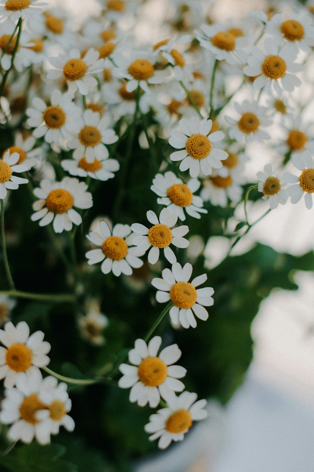 a vase filled with lots of white and yellow flowers