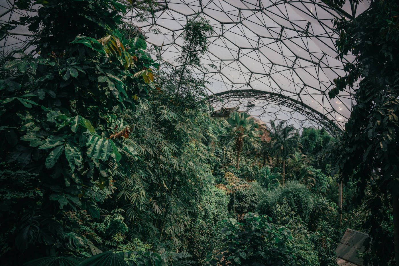 Inside the Eden Project biome lattice