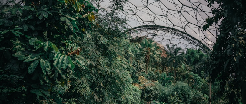 the inside of a glass dome in a forest