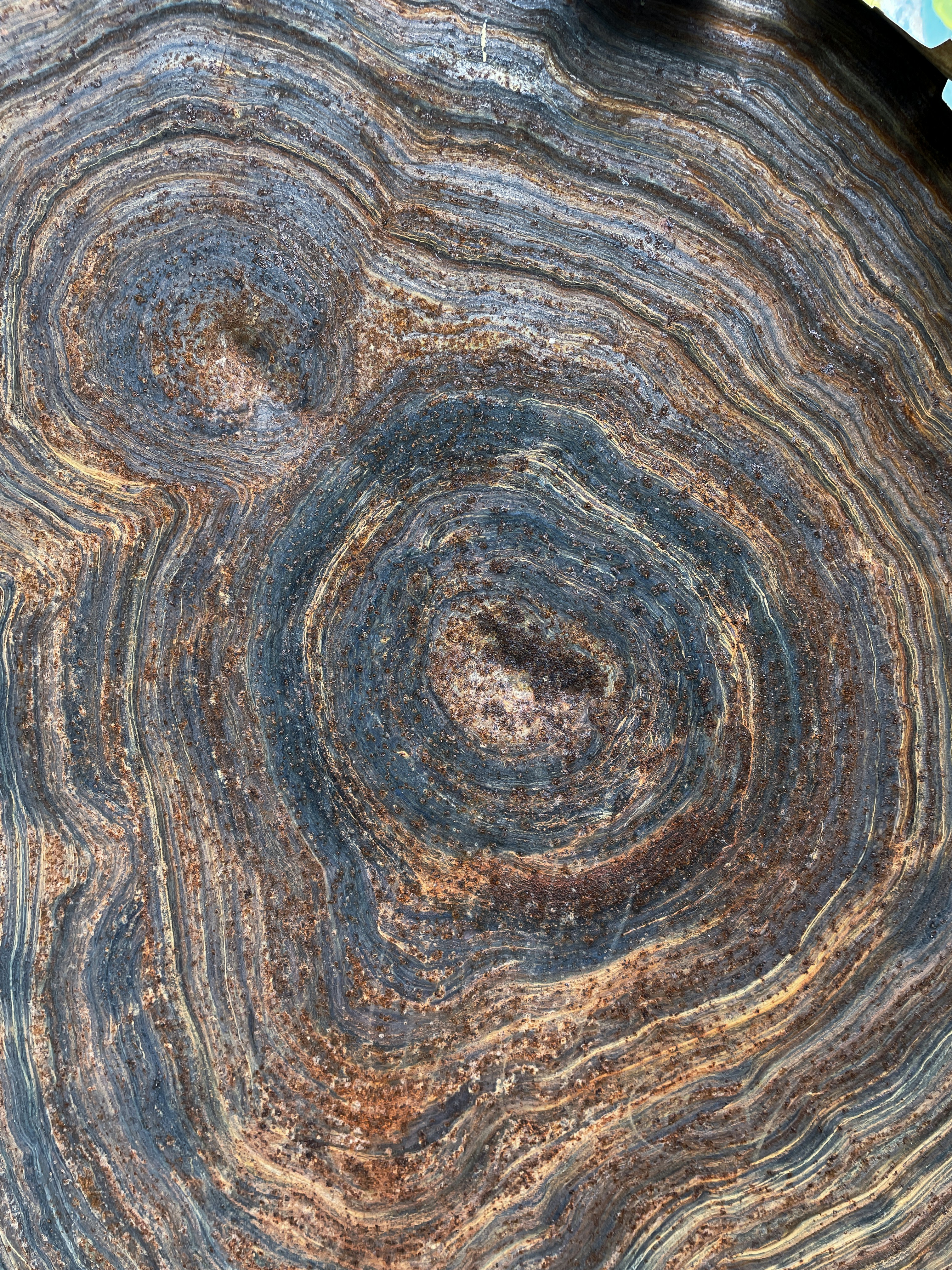 Photo by eatyoursick