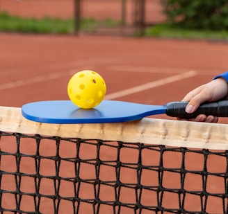 a tennis racket and ball on a tennis court