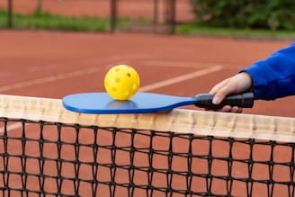 a tennis racket and ball on a tennis court